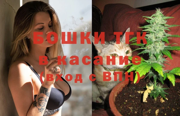 стафф Бородино